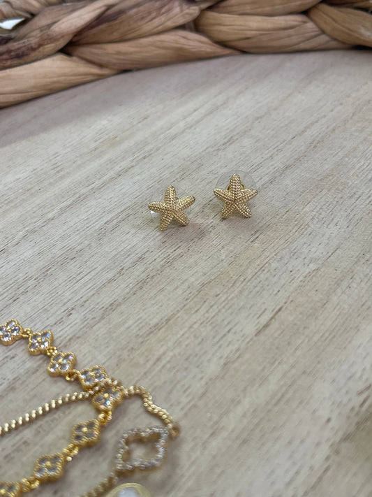 Starfish earrings ✨