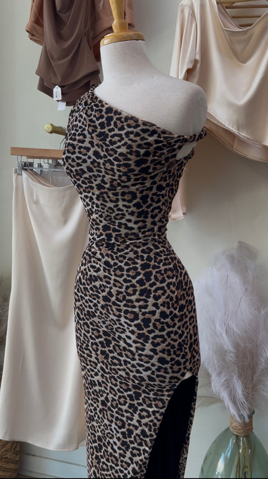 Leopard Print Dress 🐆