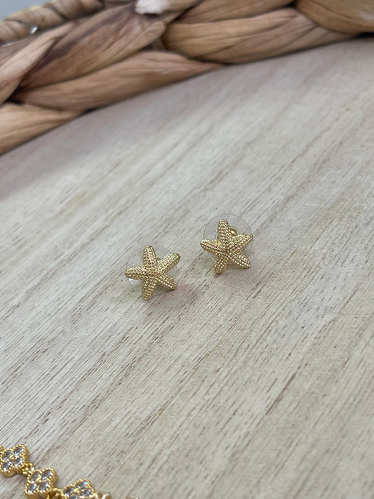 Starfish earrings ✨